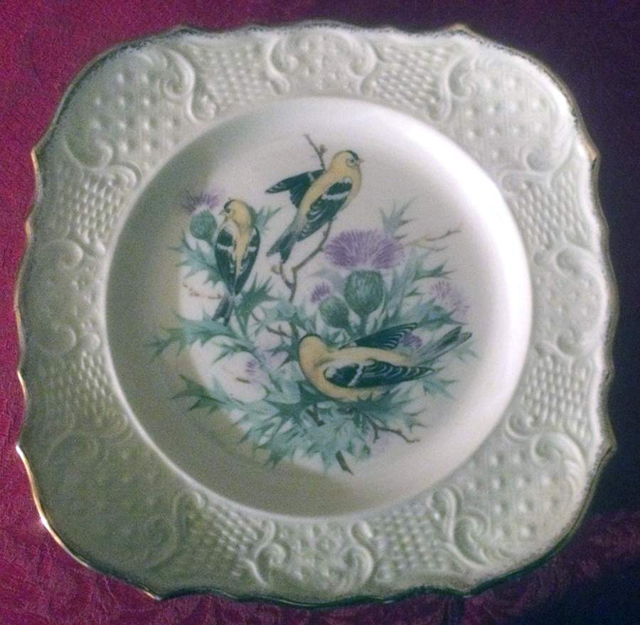 CAN292 Square Salad Plate by Canonsburg-1