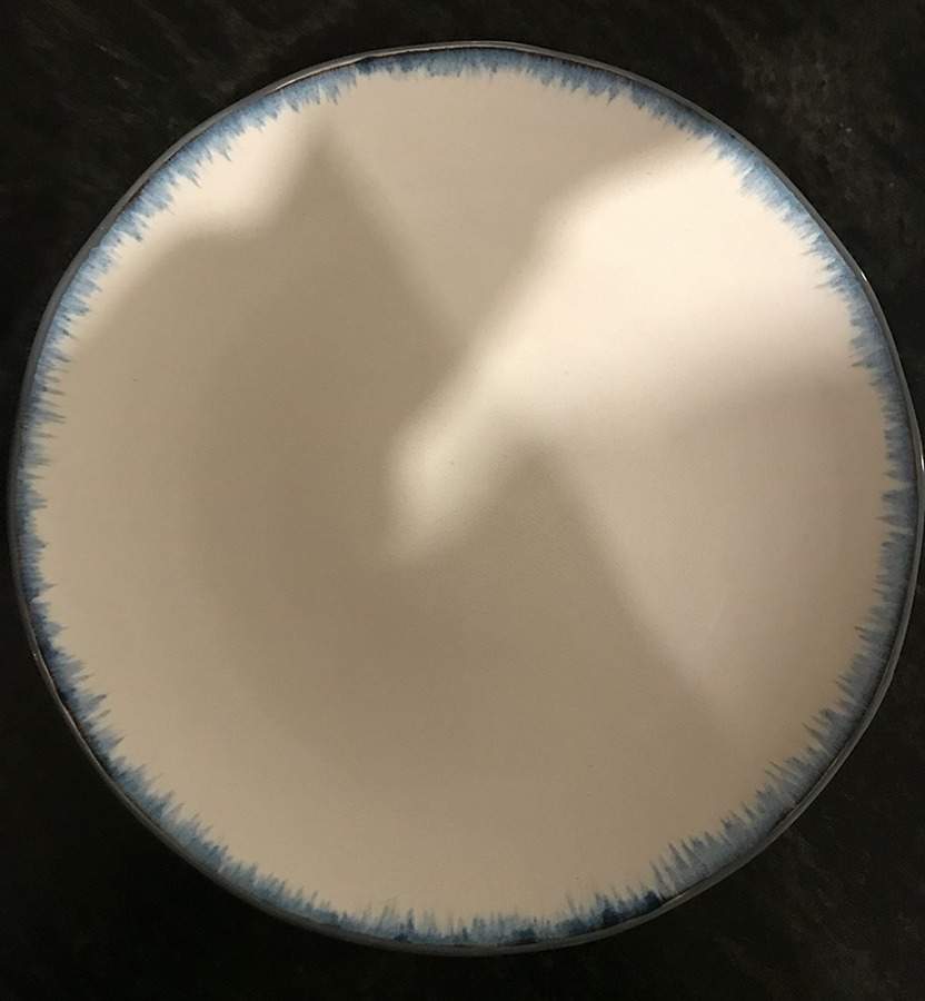 Under Line Dinner Plate by Crate & Barrel-1