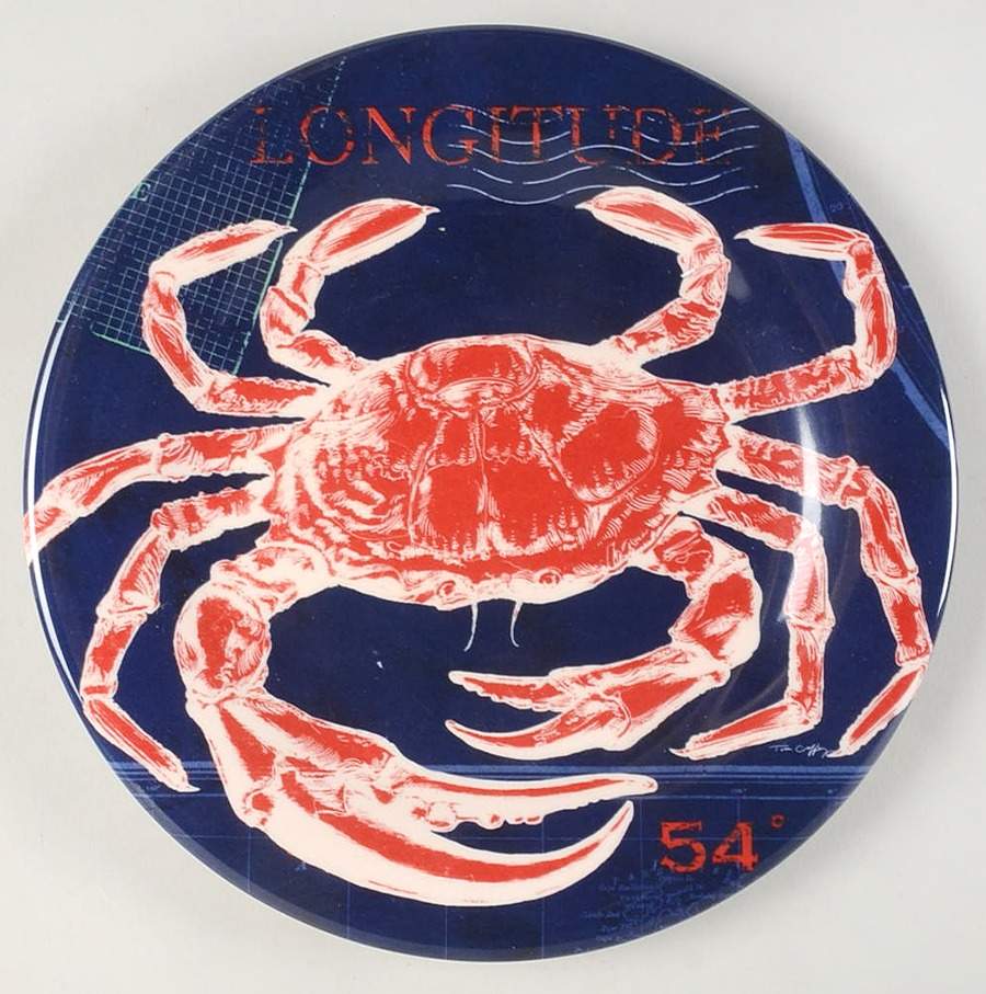 Pier 45 Melamine Salad Plate by Certified International-1