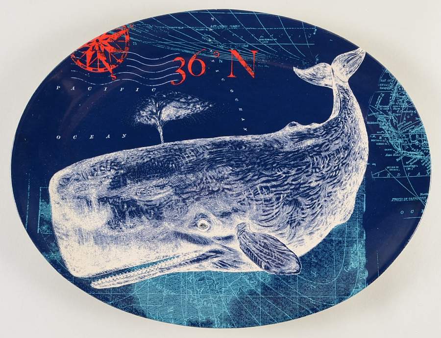 Pier 45 15" Oval Serving Platter by Certified International-1