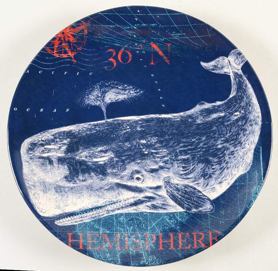 Pier 45 Dinner Plate by Certified International-1