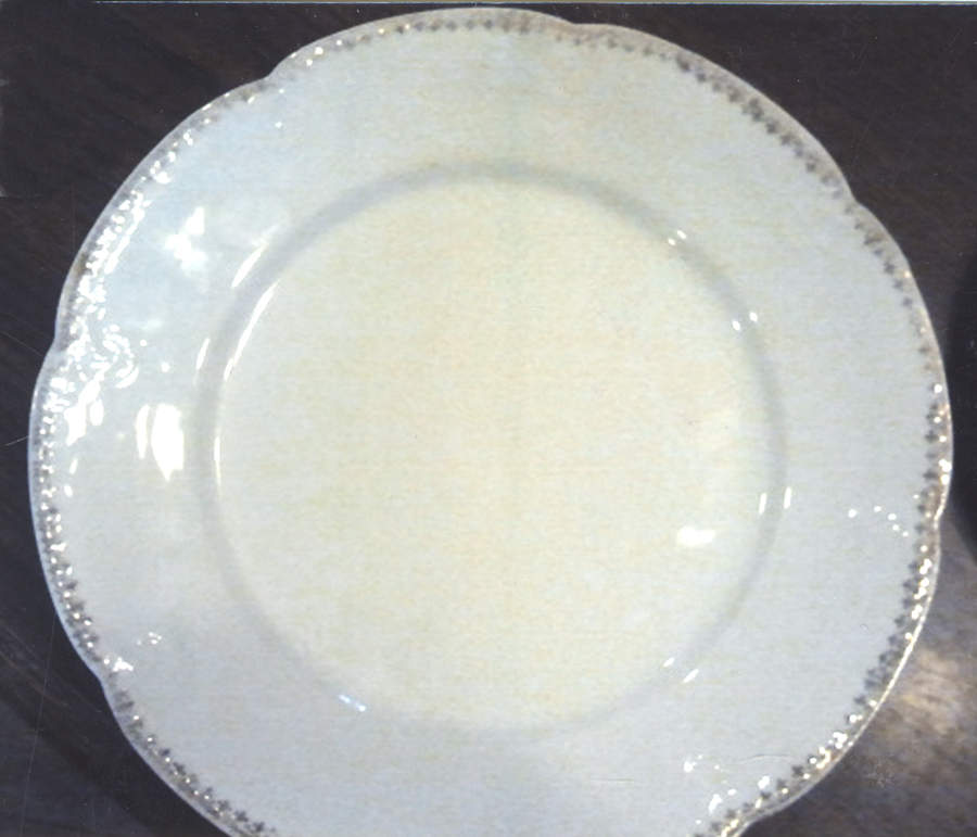 CAR241 Dinner Plate by Carlsbad-1