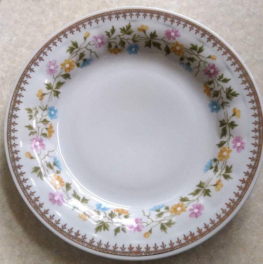 CHZ67 Dinner Plate by Chodziez-Poland-1