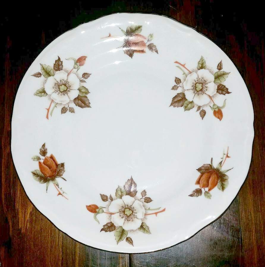 CHZ68 Dinner Plate by Chodziez-Poland-1