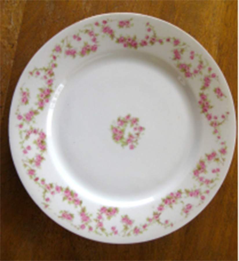 CZE340 Dinner Plate by Czechia-Czechoslovakia-1