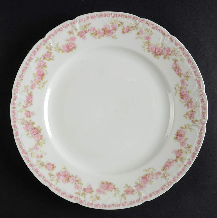 Schleiger 195-13 Luncheon Plate by Charles Field Haviland-1