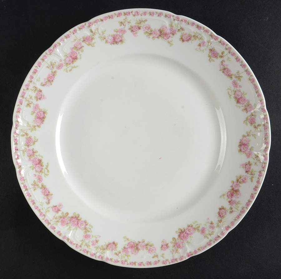 Schleiger 195-13 Dinner Plate by Charles Field Haviland-1