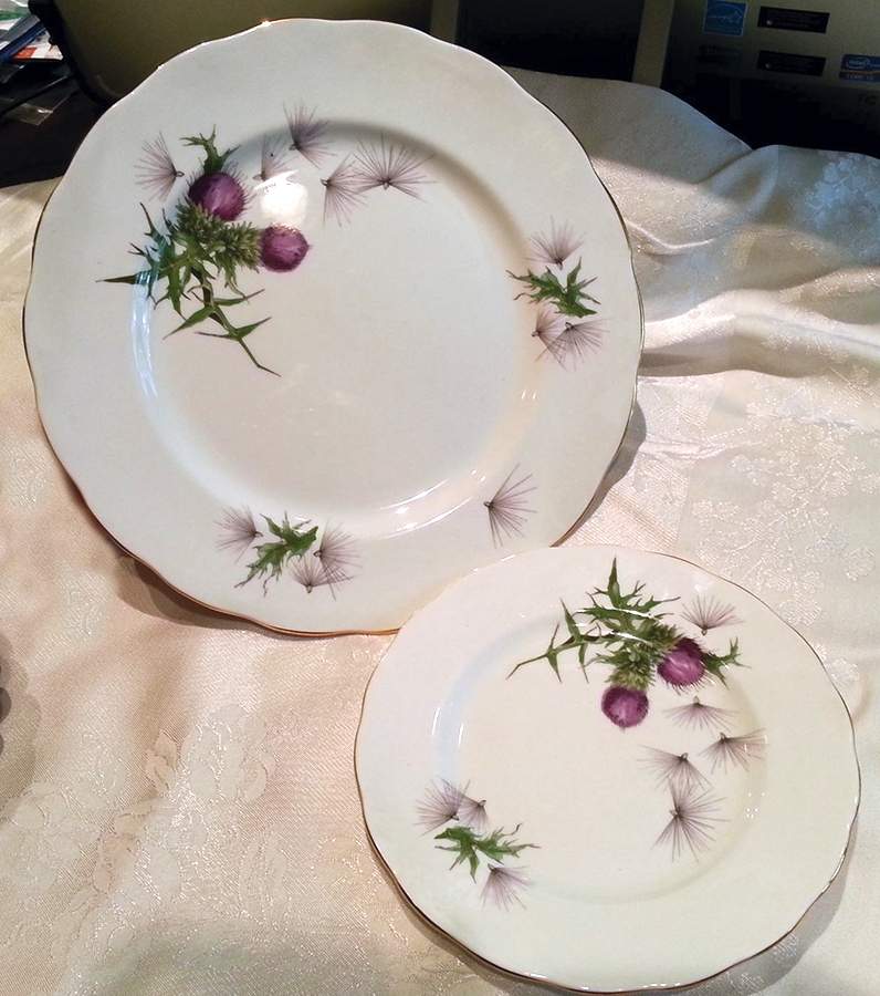 CLC119 Dinner Plate by Colclough-1