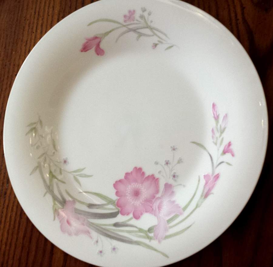 UP122 Dinner Plate by Universal Porcelain Company-1