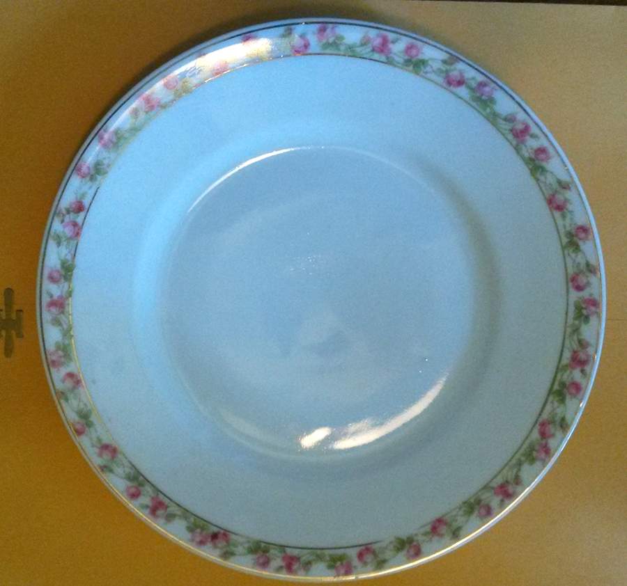 4951 Dinner Plate by Carlsbad-1