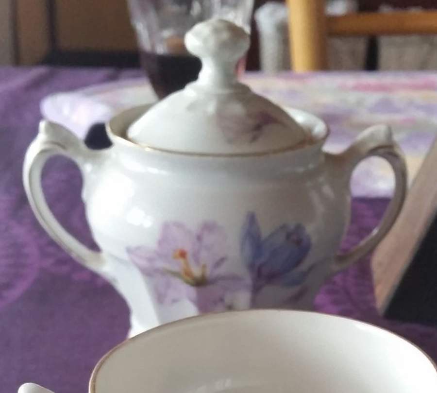 2940 Sugar Bowl & Lid by Carl Tielsch-1