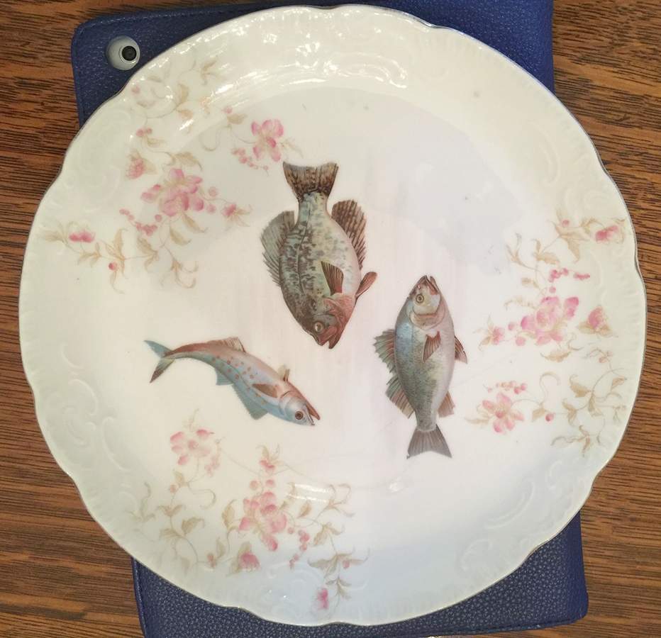 CAR242 Dinner Plate by Carlsbad-1