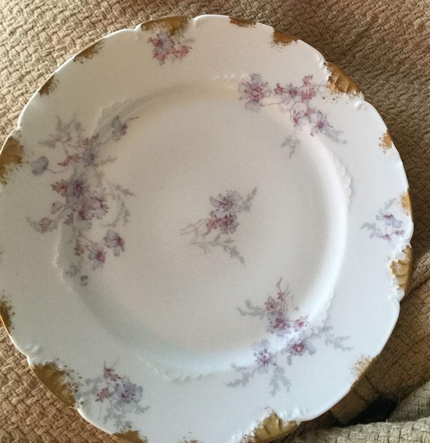 Head 71-4 Dinner Plate by Charles Field Haviland-1