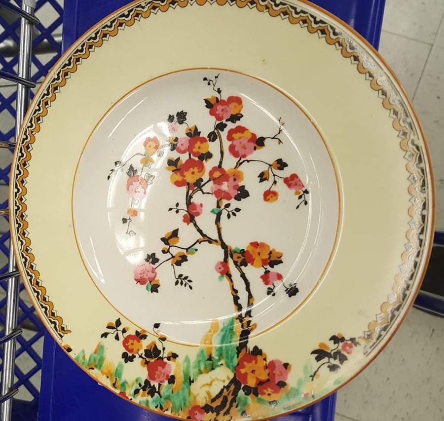 CRD289 Dinner Plate by Crown Ducal-1