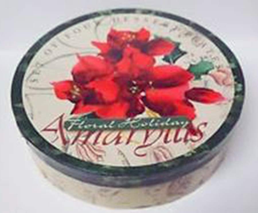 Amaryllis Salad/Dessert Plate by Certified International-1