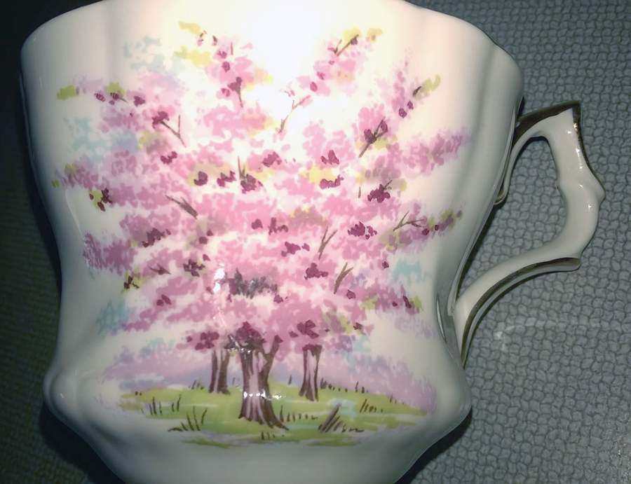 Dogwood Tree Flat Cup by Cambridge - England-1