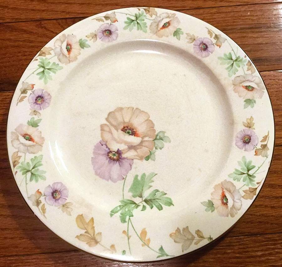 CLT101 Dinner Plate by Carrollton-1