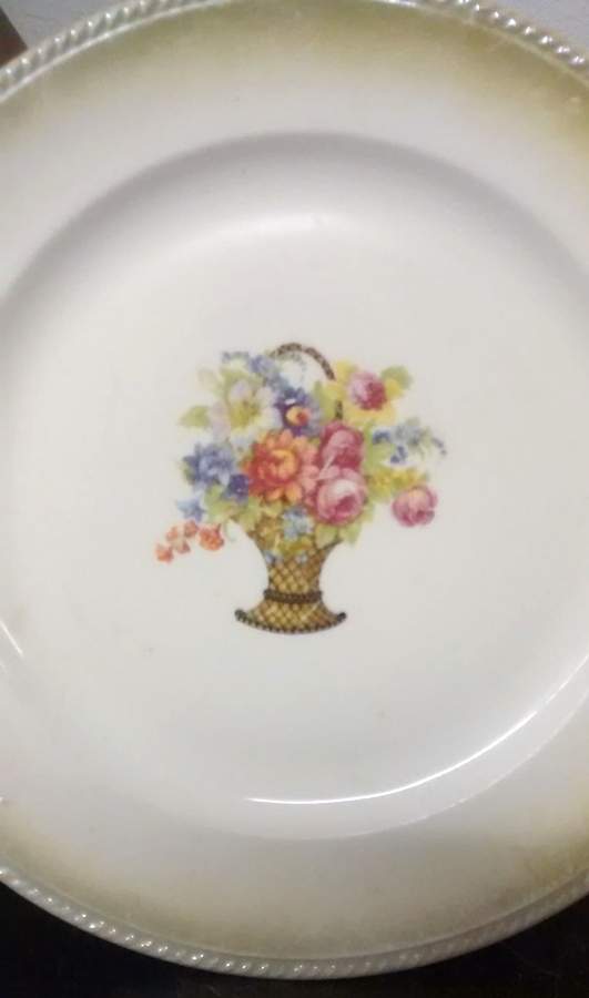 CIV35 Dinner Plate by Crown Ivory-1