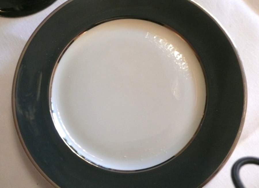 CS22 Dinner Plate by Carole Stupell-1