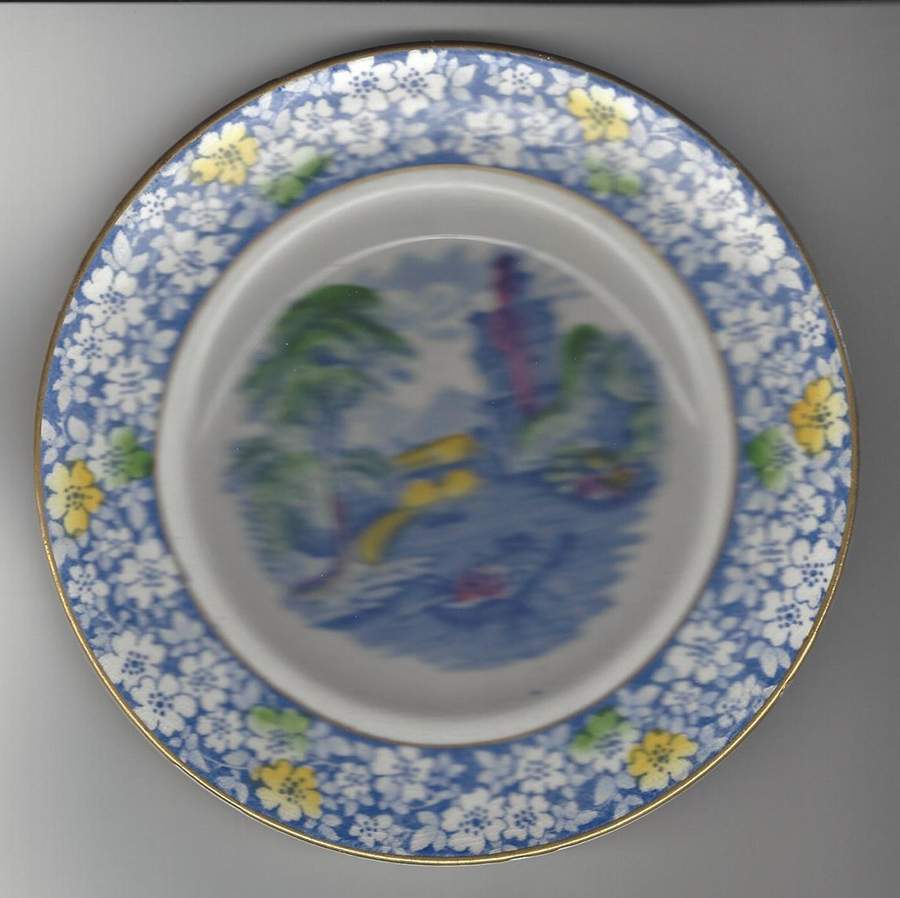 CEB141 Dinner Plate by Celebrate-1