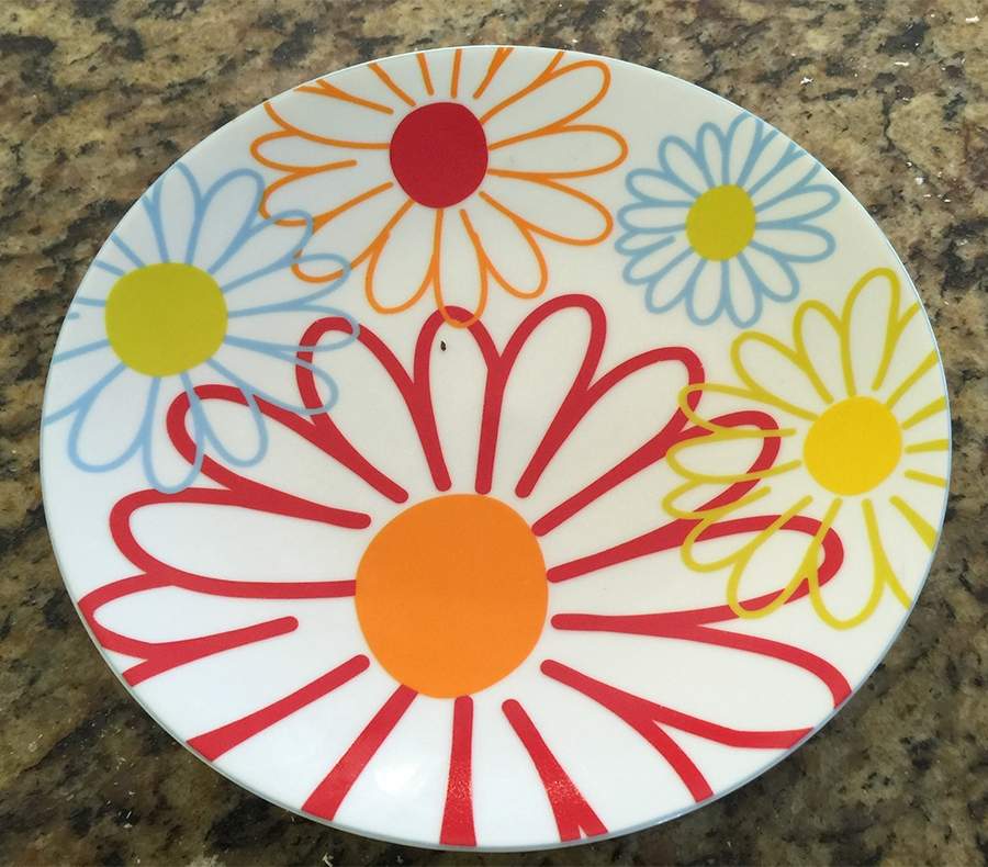 CBL179 Dinner Plate by Crate & Barrel-1