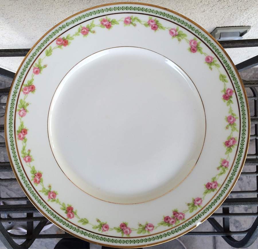 CMT190 Dinner Plate by Charles Martin-1