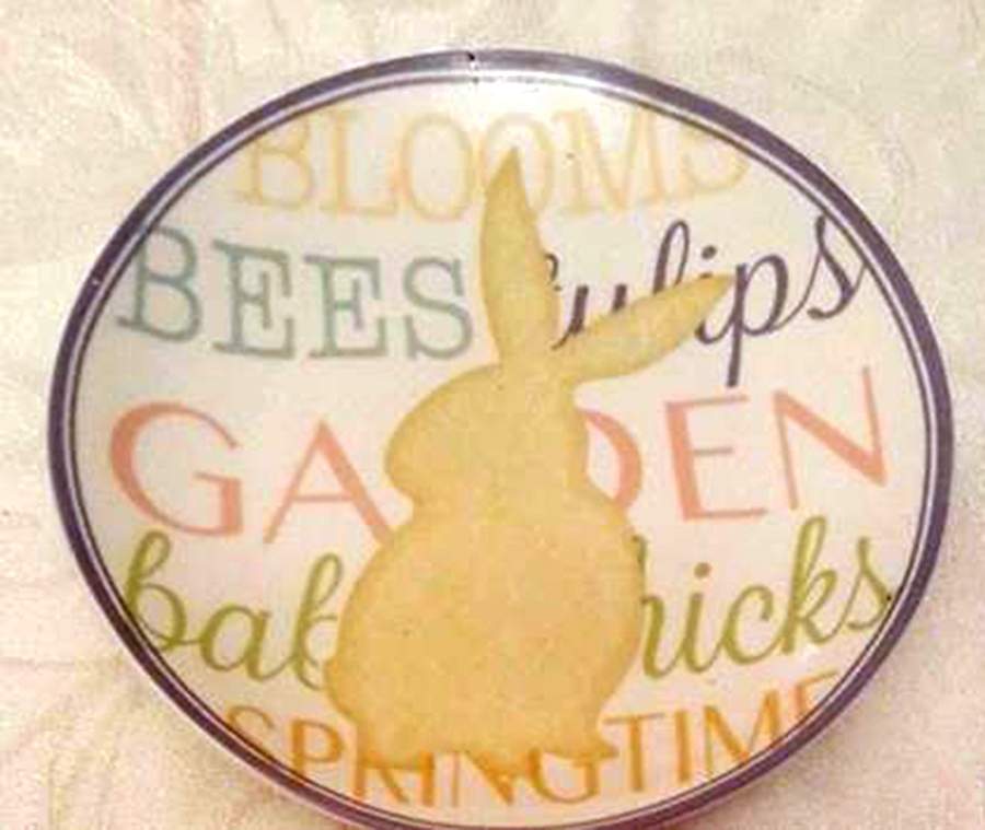 Bunny Hop Dessert/Pie Plate by Certified International-1