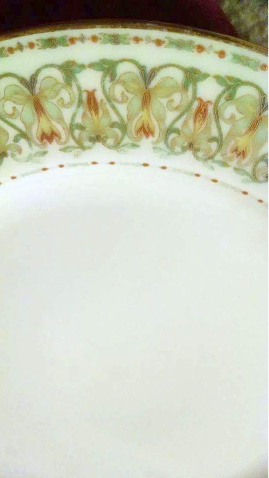 CHF1973 Dinner Plate by Charles Field Haviland-1