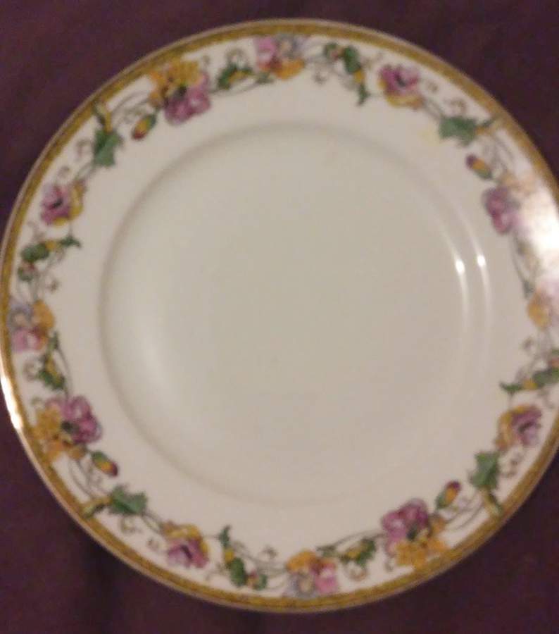 CRO424 Dinner Plate by Crooksville-1