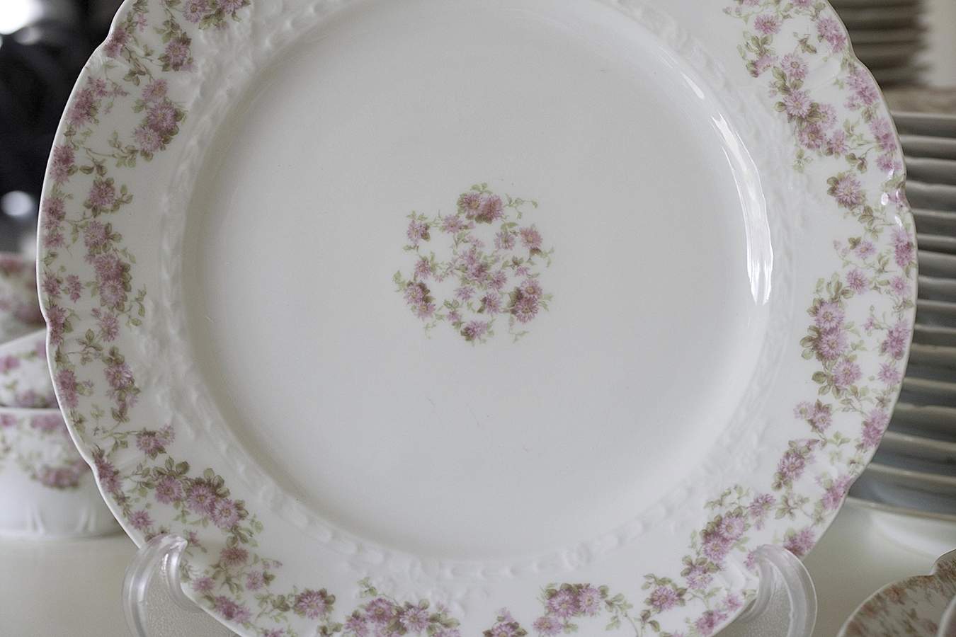Schleiger 195-17 Dinner Plate by Charles Field Haviland-1