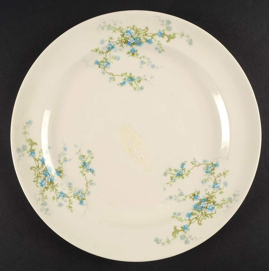 CAN303 Dinner Plate by Canonsburg-1