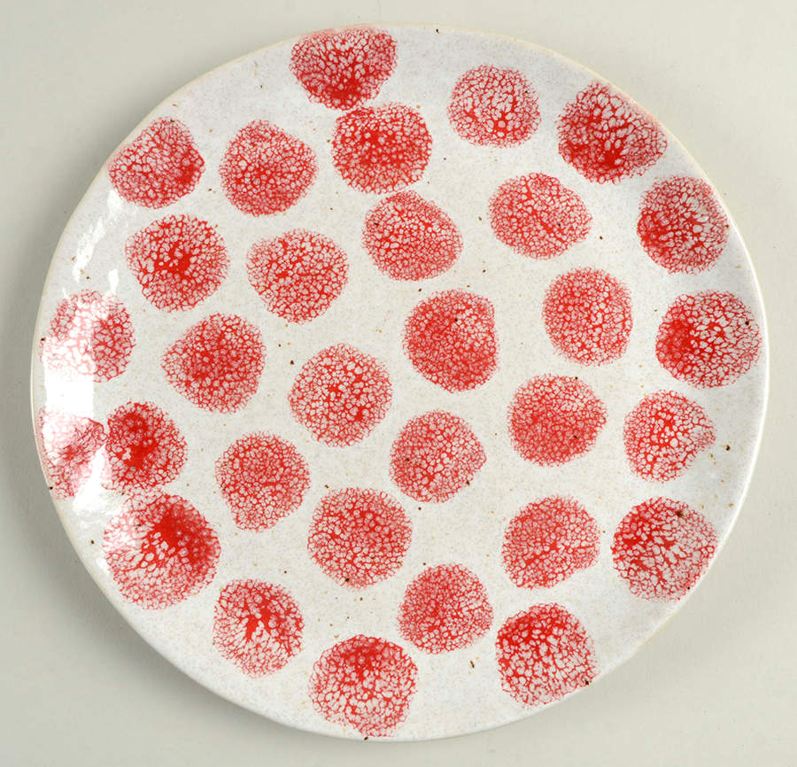 Spot On Salad Plate by Casafina-1