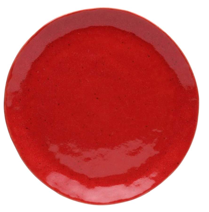 Spot On Dinner Plate by Casafina-1