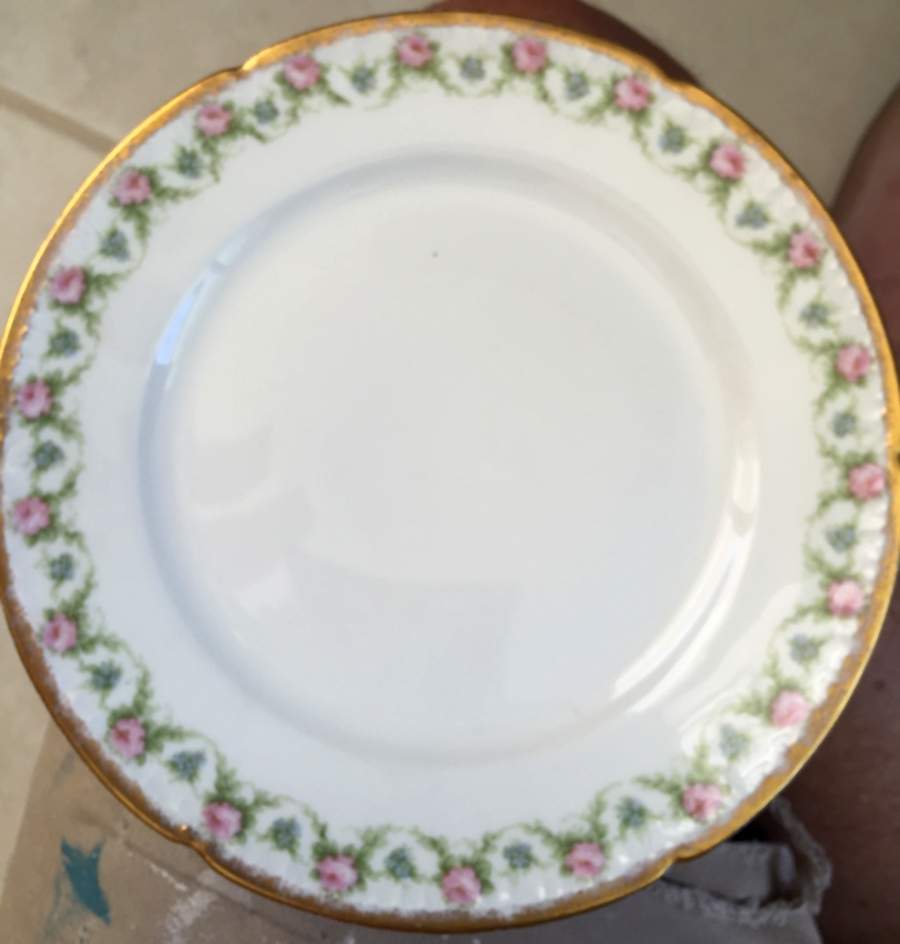 8140 Dinner Plate by Charles Field Haviland-1