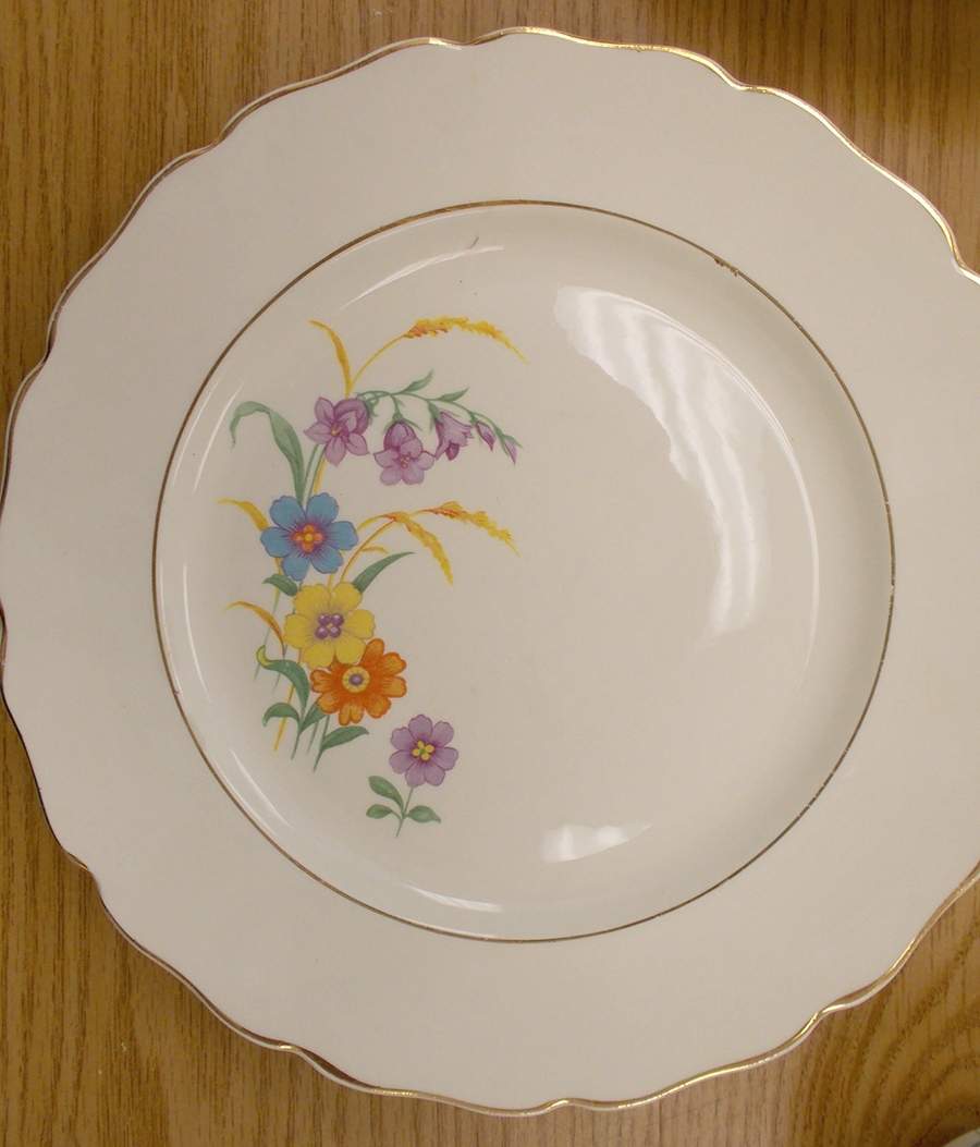 CAN306 Dinner Plate by Canonsburg-1