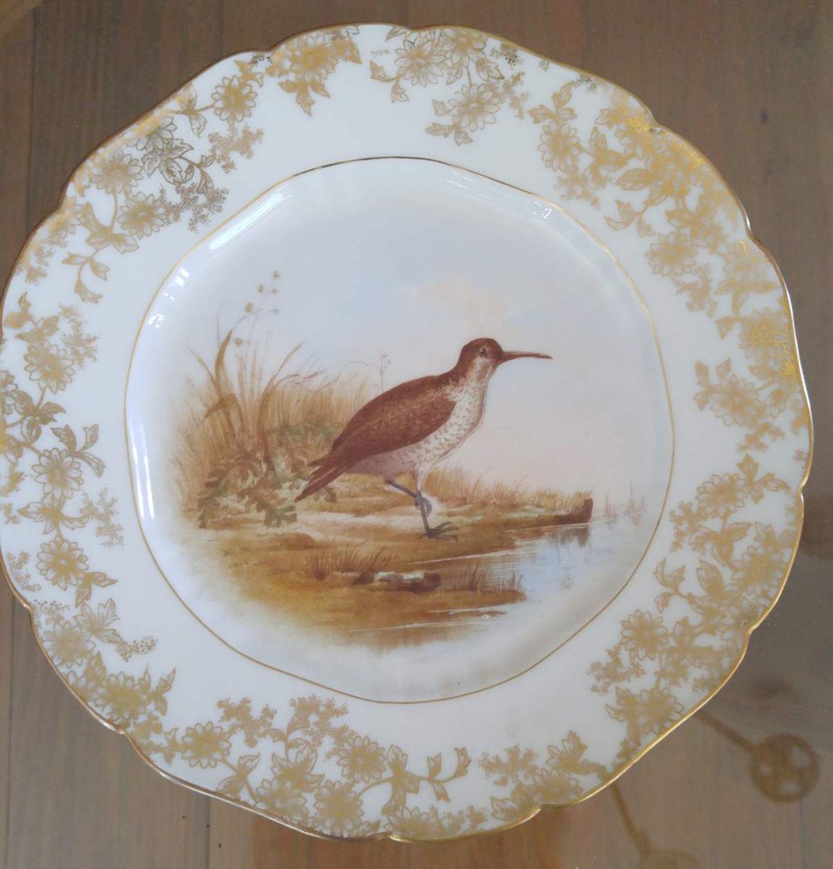 CHF1992 Dinner Plate by Charles Field Haviland-1