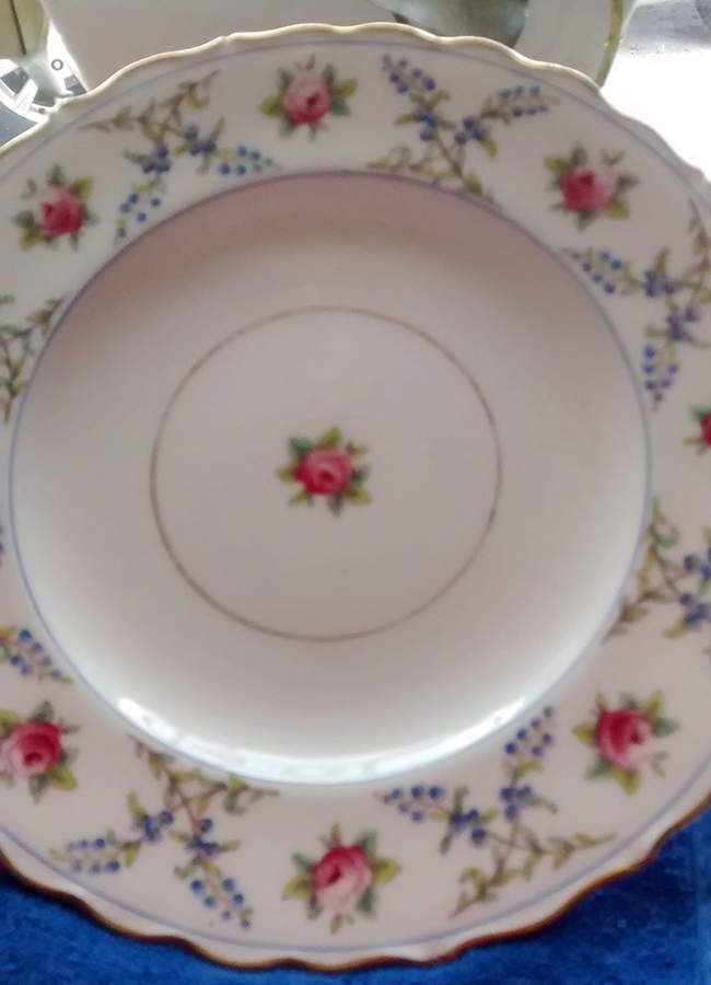 Z6422 Dinner Plate by Coalport-1