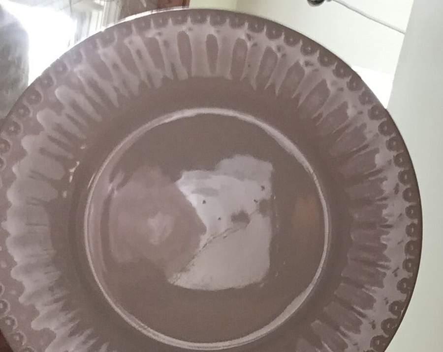 C8G19 Salad Plate by Citrus Grove-1