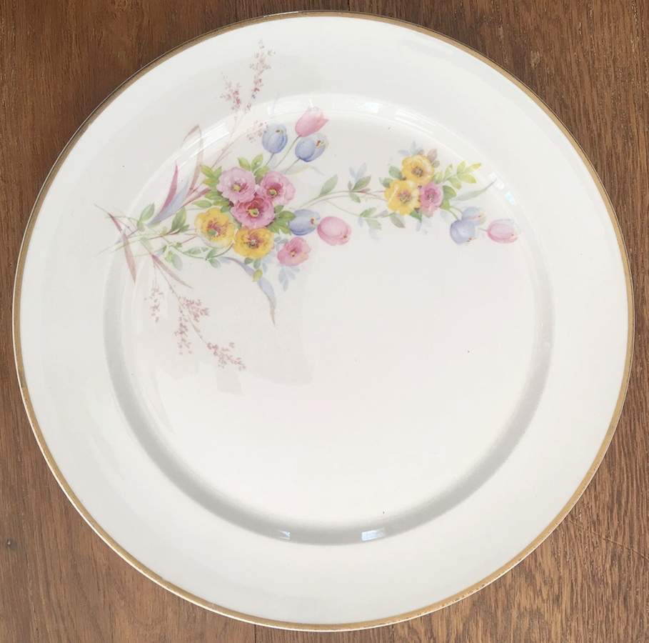 CAN307 Dinner Plate by Canonsburg-1