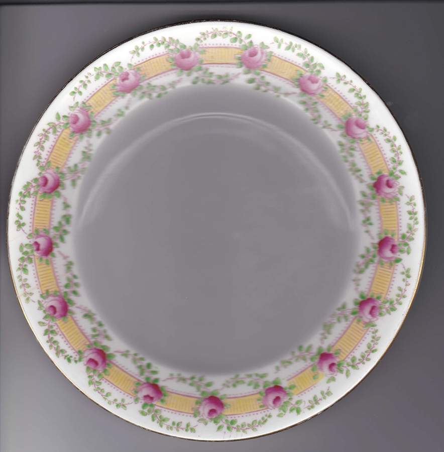 CRS224 Dinner Plate by Crown Staffordshire-1