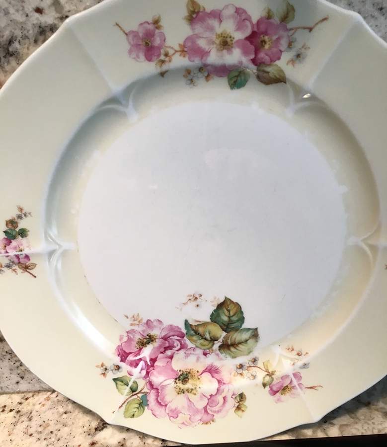 CZE347 Dinner Plate by Czechia-Czechoslovakia-1