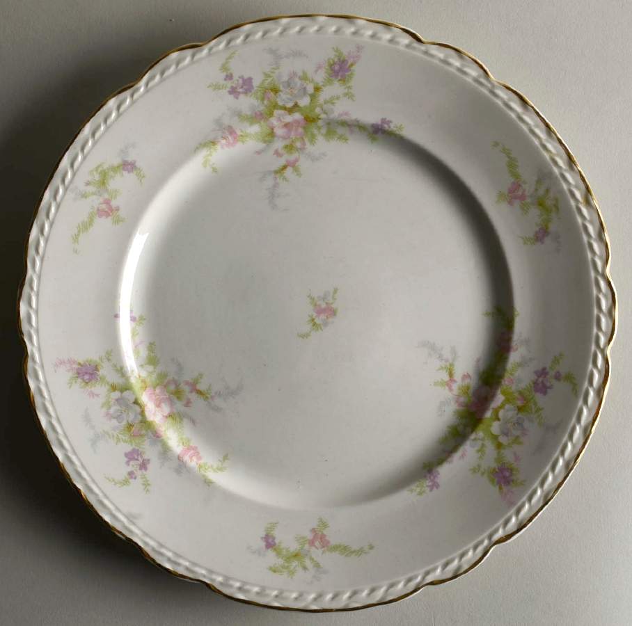CPT13 Dinner Plate by Capital (USA)-1