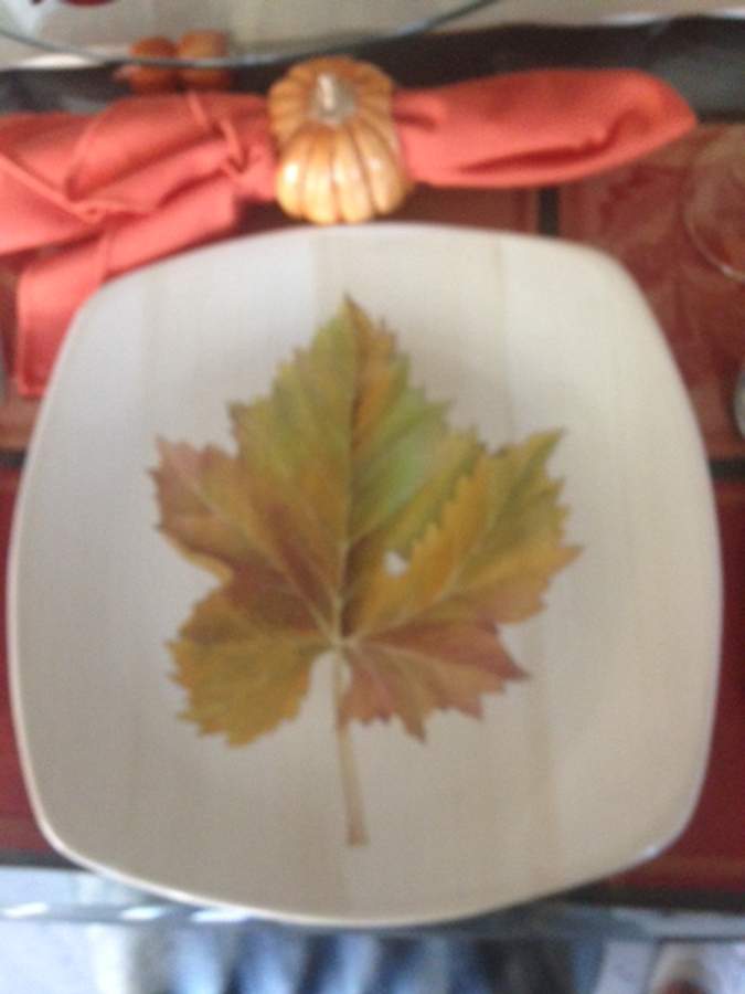 CXQ13 Dinner Plate by Ceramica Due Torri-1