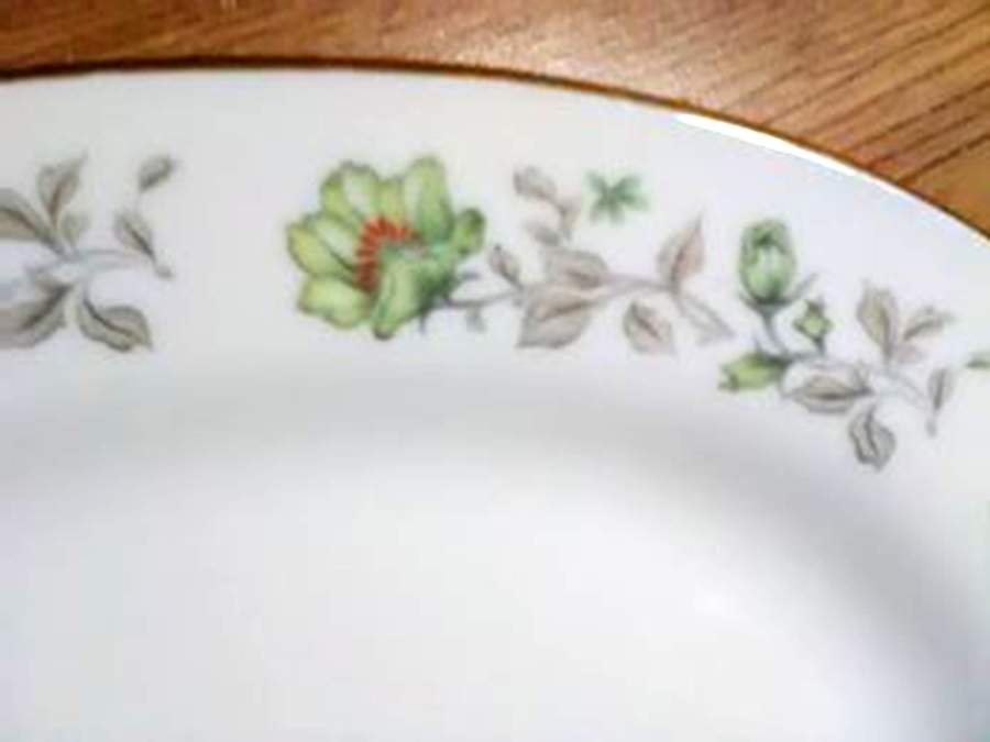 CX841 Dinner Plate by China (Made in China)-1