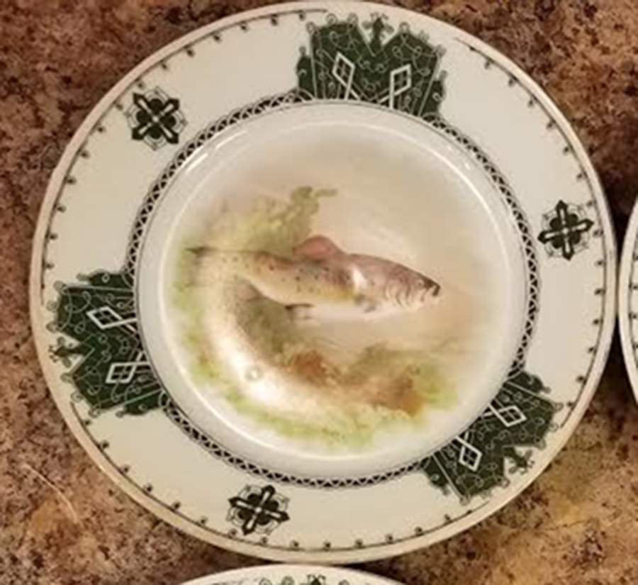 16844 Salad Plate by Carl Tielsch-1