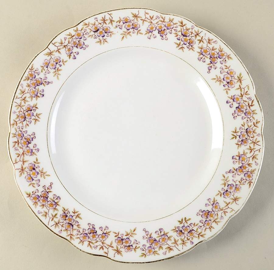 2869 Dinner Plate by Carlsbad-1