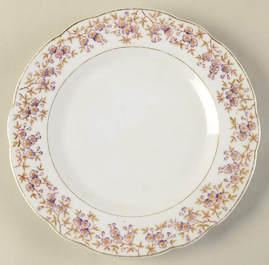 2869 Salad Plate by Carlsbad-1
