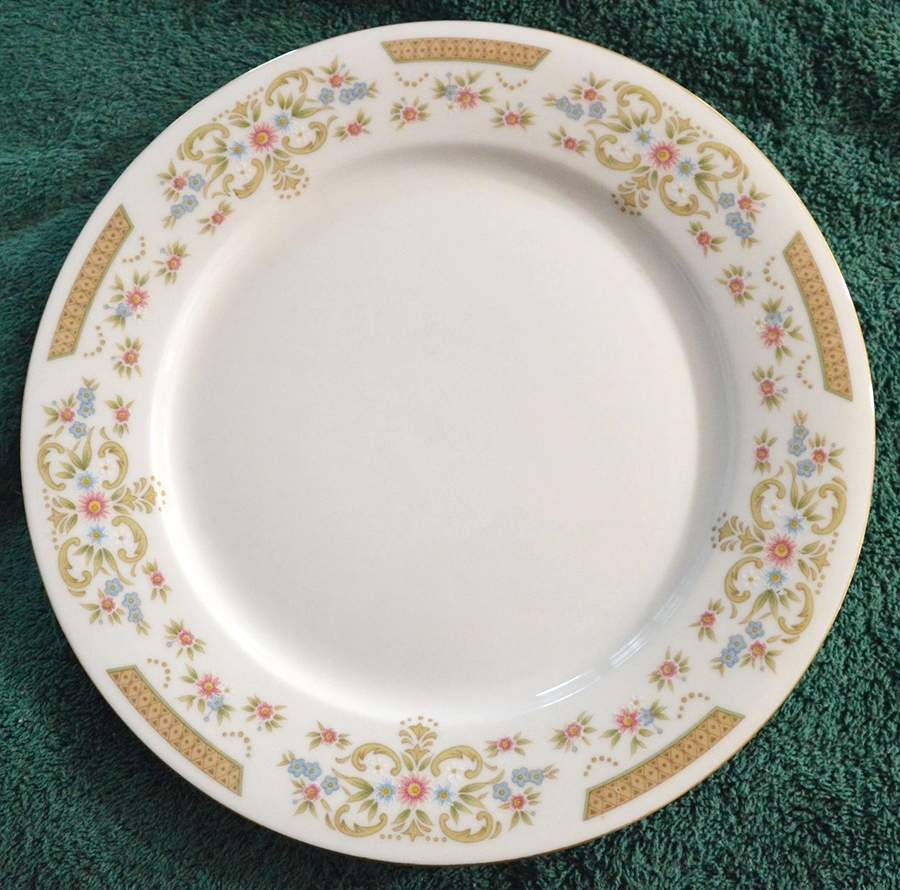 CX843 Dinner Plate by China (Made in China)-1