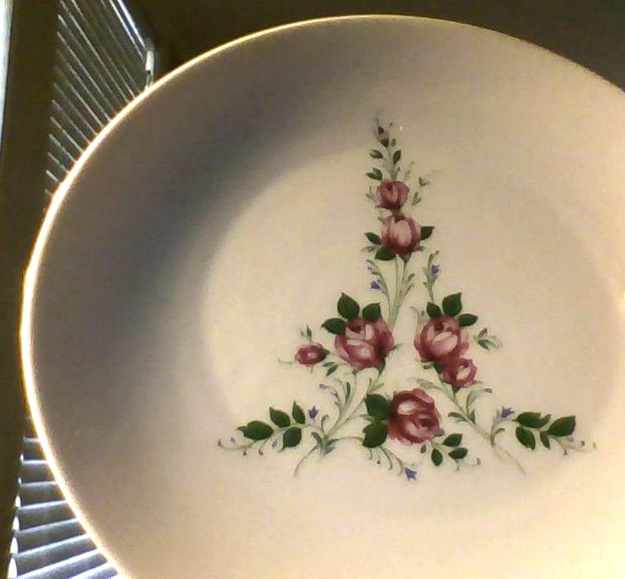 CDZ9 Dinner Plate by Creidlitz-1