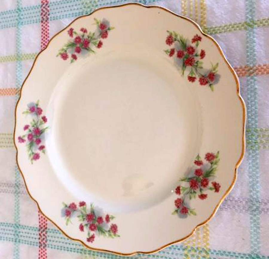 2841 Dinner Plate by Canonsburg-1